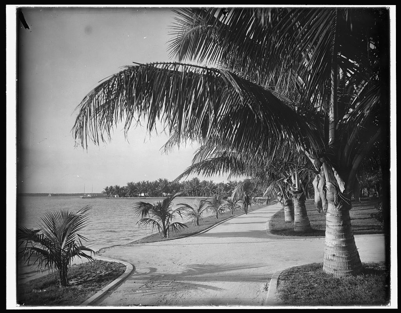Illustration for article titled Vintage Beach